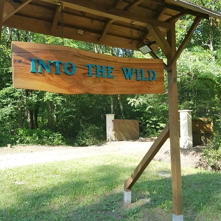 Belin-Beliet Into The Wild - Nos 5 Logements "Atypiques" מראה חיצוני תמונה