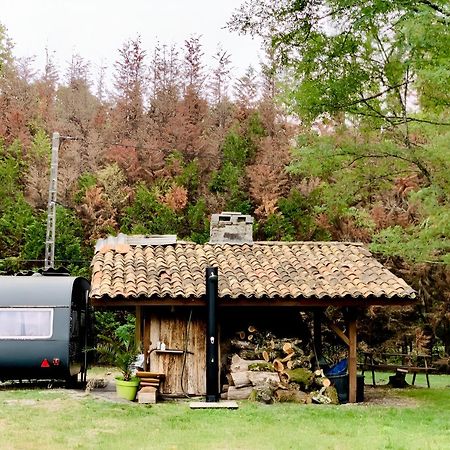 Belin-Beliet Into The Wild - Nos 5 Logements "Atypiques" מראה חיצוני תמונה
