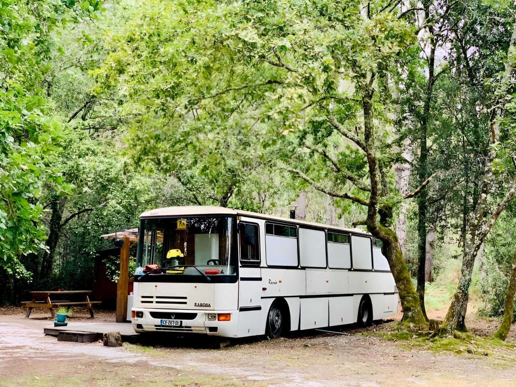 Belin-Beliet Into The Wild - Nos 5 Logements "Atypiques" חדר תמונה